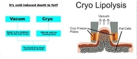 Fabrikpreis!!! Neues Cryolipolysis Rf-Hohlraumbildungs-Vakuum, das Maschine abnimmt