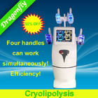 Nagelneue Cryolipolysis-Cellulite-Reduzierungs-Maschine für ganzer Körper-Patente
