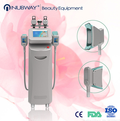 Körper Cryolipolysis-Maschinen-2014/Cryolipolysis, der Schönheits-Ausrüstung abnimmt